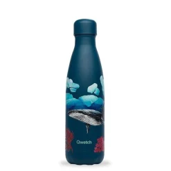 Bouteille isotherme Banquise Baleine 500ml - Qwetch