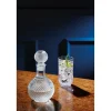 Carafe en verre 1L - BarCraft