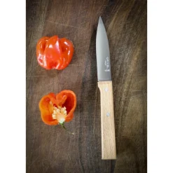 Coffret Couteaux de Cuisine Trio Parallèle - Opinel
