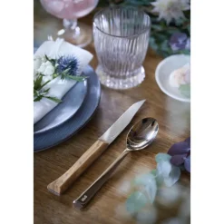 Coffret Couteaux de Table Olivier x4 Facette - Opinel