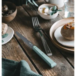 Coffret Couteaux de Table Sauge Bon Appétit ! x4 - Opinel