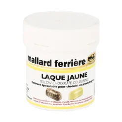 Colorant chocolat poudre liposoluble jaune 15g