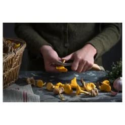 Couteau de Poche Champignon N°8 - Opinel