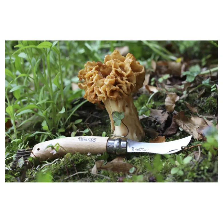 Couteau de Poche Champignon N°8 - Opinel