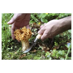 Couteau de Poche Champignon N°8 - Opinel