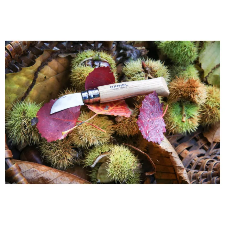 Couteau de Poche Châtaigne Ail et Dénoyautage N°7 - Opinel