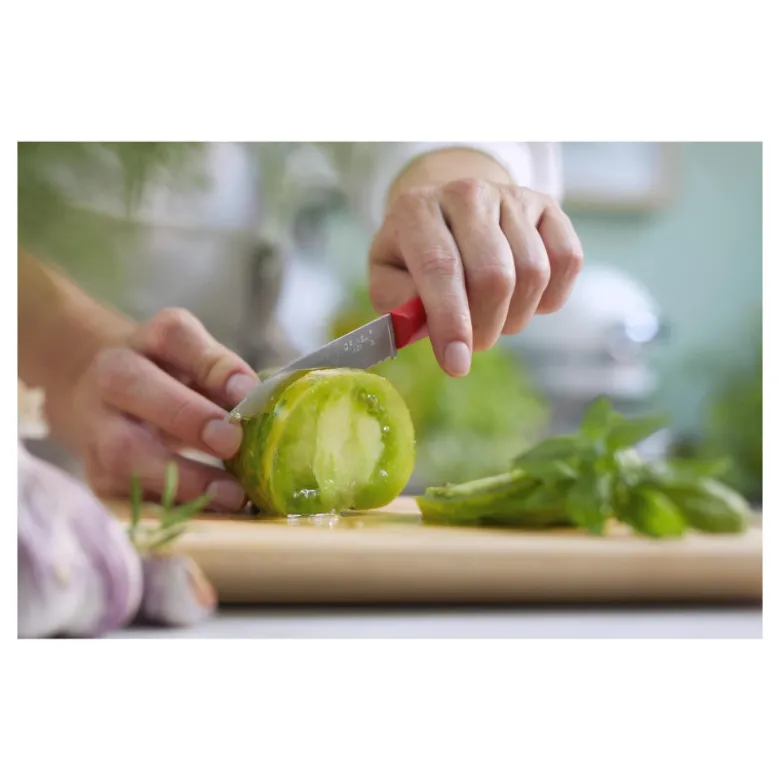Couteau d'Office Cranté Rouge Les Essentiels + N°313 - Opinel
