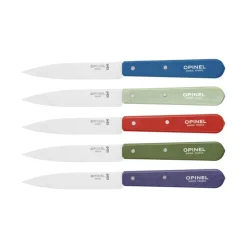 Couteau d'Office Inox et Bois 10 cm Violet N°112 - Opinel