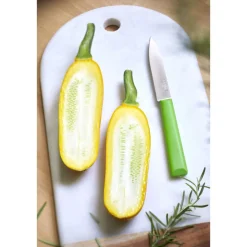 Couteau d'Office Vert Les Essentiels + N°312 - Opinel