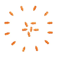 Décors en Sucre Carotte 76g - PME