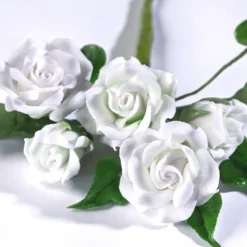 Gum Paste Blanc 250g - Renshaw