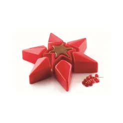 Kit Moule Etoile silicone - Silikomart