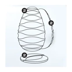Kit moule Oeuf Beauty x2 - Pavoni