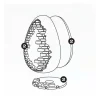 Kit moule Oeuf Wall x2 - Pavoni