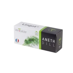 Lingot Aneth Bio potager d'intérieur - Véritable