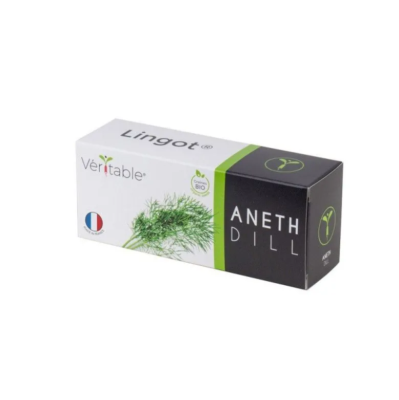 Lingot Aneth Bio potager d'intérieur - Véritable