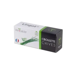 Lingot Ciboulette Bio potager d'intérieur - Veritable