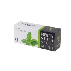 Lingot Menthe verte Bio potager d'intérieur - Veritable