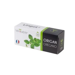 Lingot Origan Bio potager d'intérieur - Veritable