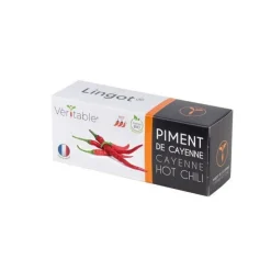 Lingot Piment de Cayenne potager d'intérieur - Véritable