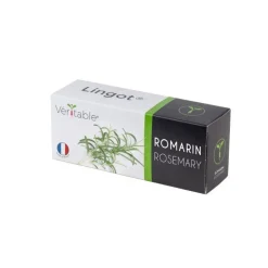 Lingot Romarin potager d'intérieur - Véritable