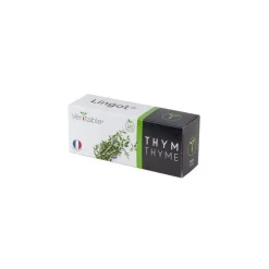 Lingot Thym BIO potager d'intérieur - Véritable