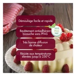 Moule à Bavarois ou Diplomate – Gobel