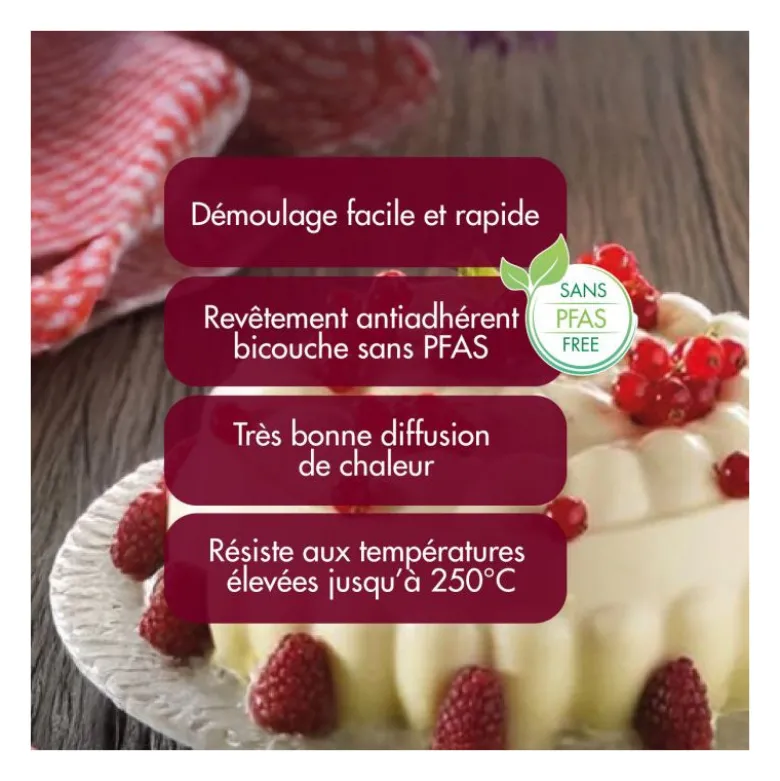 Moule à Bavarois ou Diplomate – Gobel