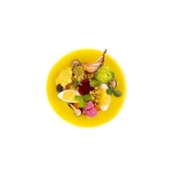 Moule cercle Cerchio 3.0 Naturae x9 - Silikomart professional