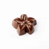 Moule Chocolat Flora 3,8 x 1,2 cm (x24) - Pavoni