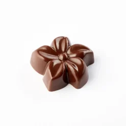 Moule Chocolat Flora 3,8 x 1,2 cm (x24) - Pavoni