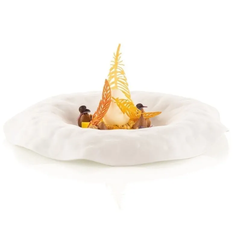 Moule plume Piuma Naturae x20 - Silikomart professional