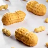 Moule Silicone Cacahuète 10 x 4,8 x H 4,2 cm (x12) - Pavoni