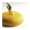Moule silicone Citron Cedric Grolet - Pavoni