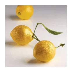 Moule Silicone 8 Citrons 85 ml Cédric Grolet - Pavoni