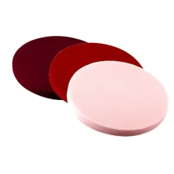 Moule Silicone 6 Fonds de Tarte Biscuit Ø16 x 1 cm 200ml - Silikomart Professional