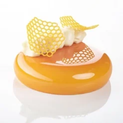 Moule Silicone Gourmand Rayon de Miel 6,7 x 6 x H 0,2 (x8) - Pavoni