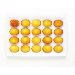 Moule silicone 20 madeleines - Mastrad