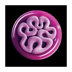 Moule silicone Top Jelly x2 - Pavoni