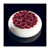 Moule silicone Top mini Coral x2 - Pavoni