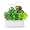 Potager d'intérieur Classic blanc - Veritable