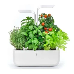 Potager d'intérieur Classic blanc - Veritable