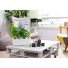 Potager d'intérieur Smart Artic blanc - Veritable