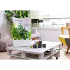 Potager d'intérieur Smart Artic blanc - Veritable