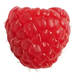 Purée de Fruits Framboise 1kg - Capfruit