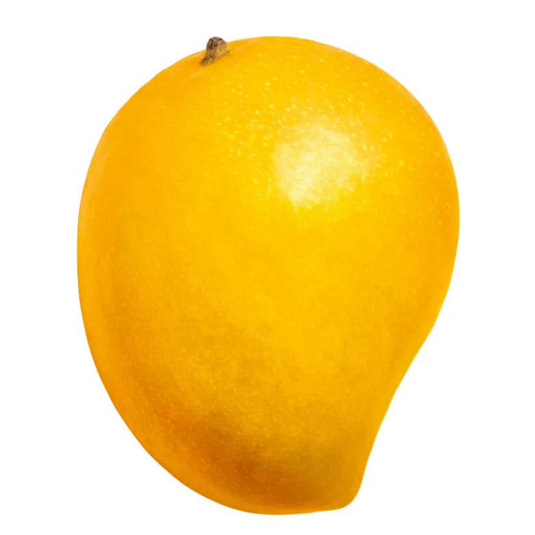 Purée de Fruits Mangue 1kg - Capfruit