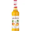 Sirop de mangue 70cl - Monin